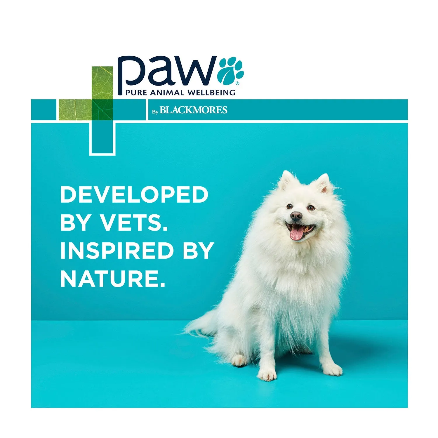 PAW Complete Calm Multivitamin Small Dog Chews 75g 30pk
