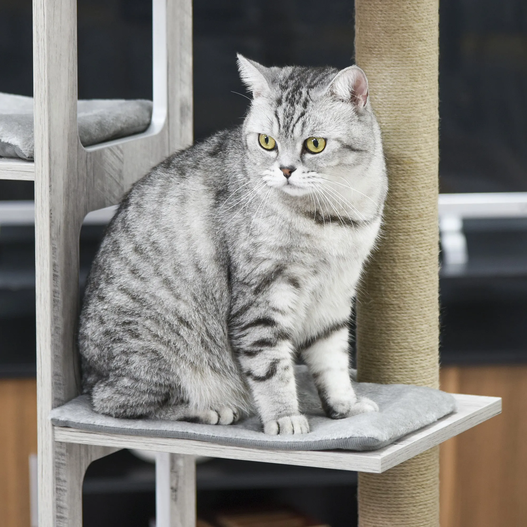 PawHut Cats 5-Tier Jute Rope Scratching Tree Grey