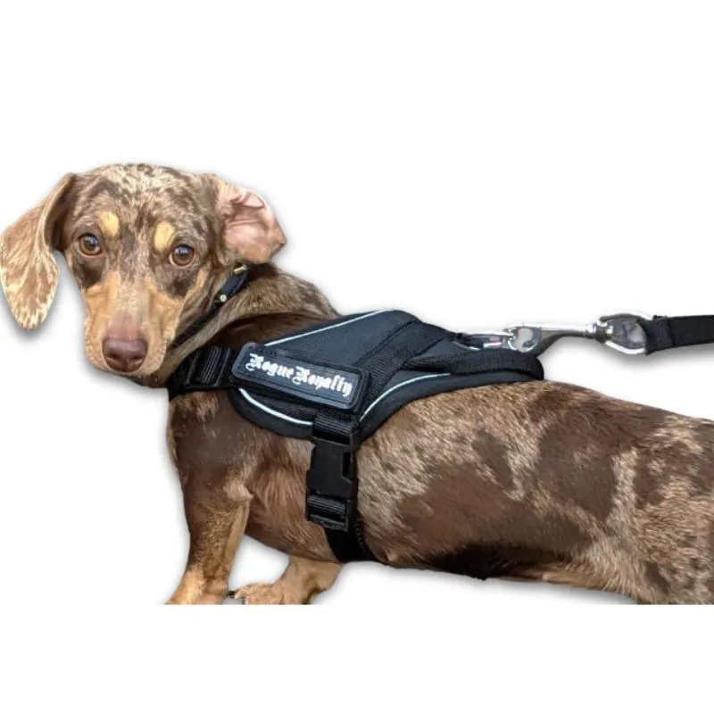 Puppy Harness - Quick Fit Black