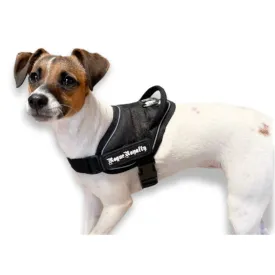 Puppy Harness - Quick Fit Black