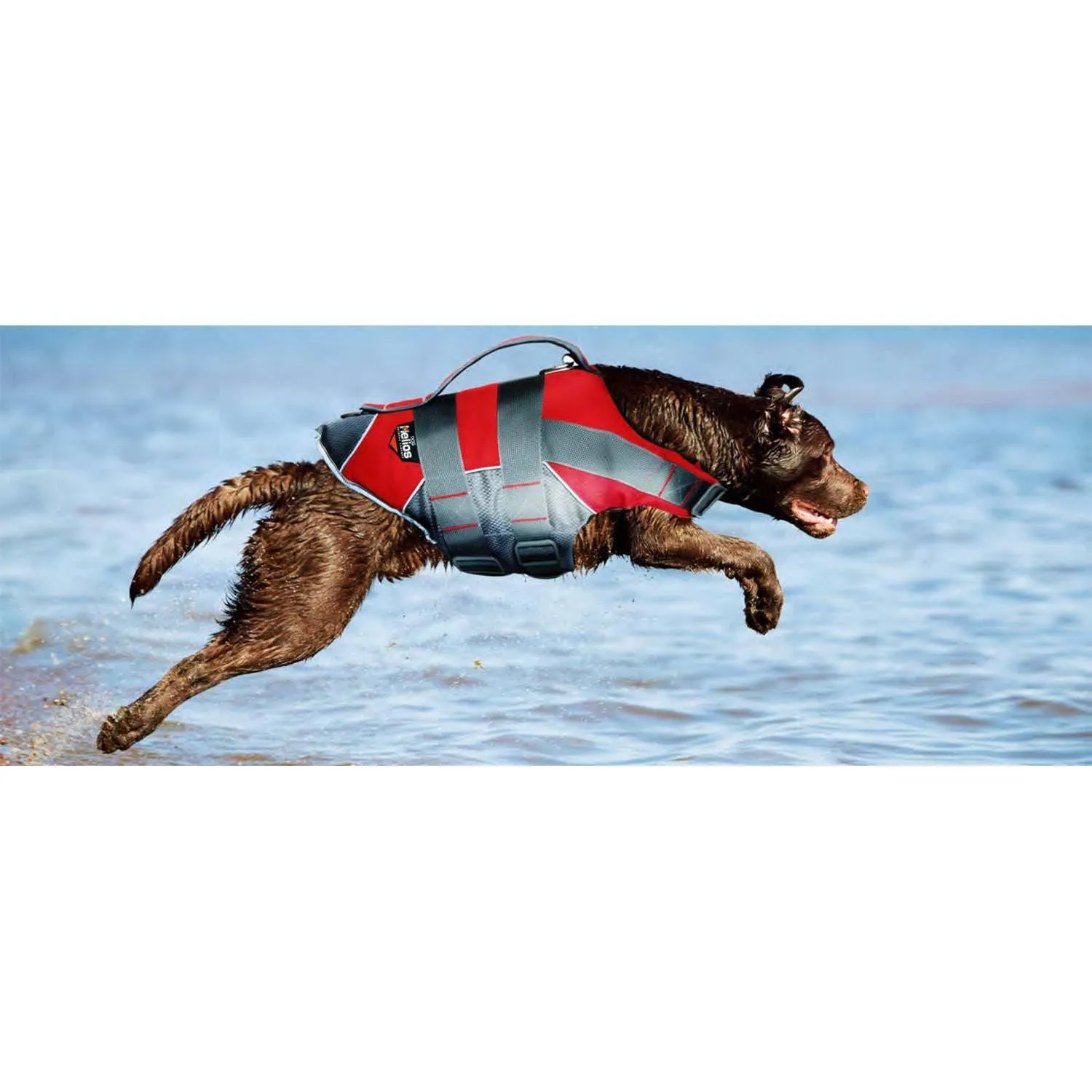 "Buoyant water safety dog harness" Straps