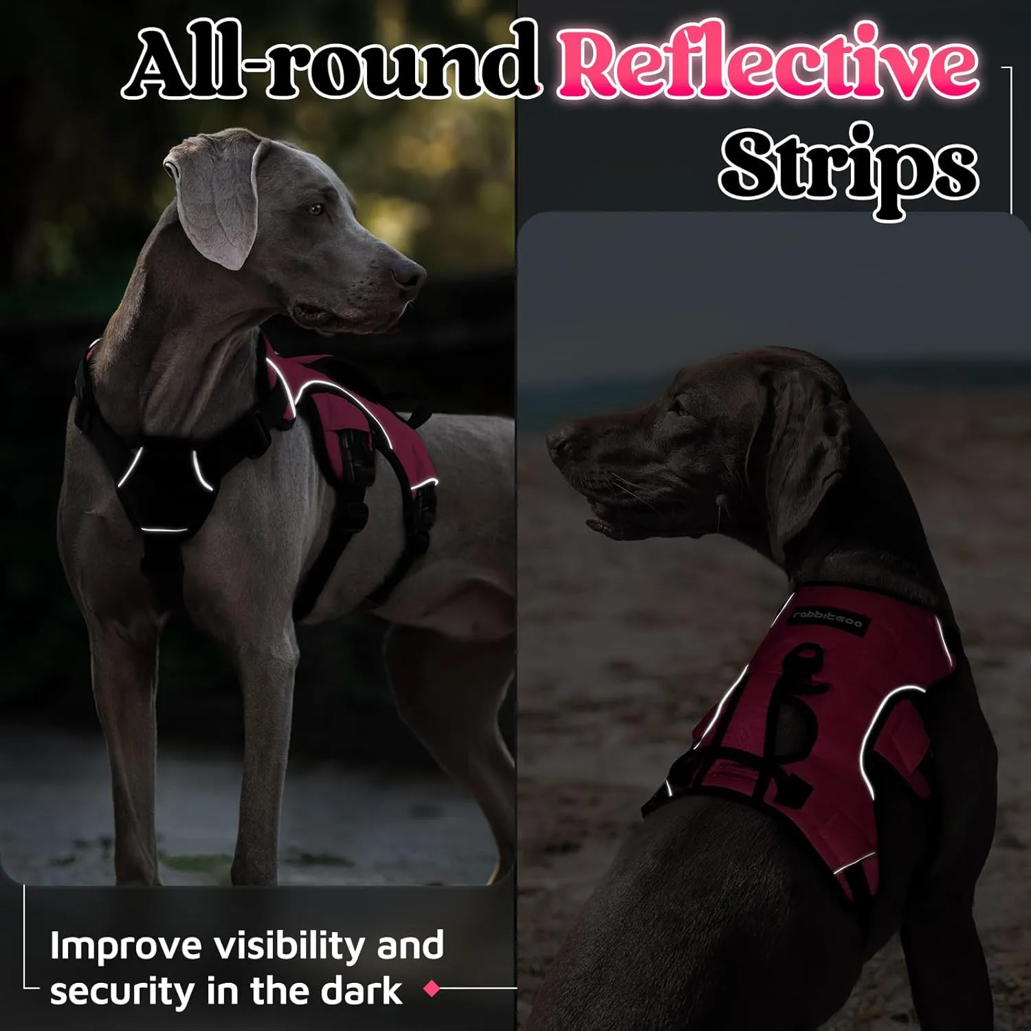 rabbitgoo Escape Proof Dog Harness, Soft Padded Full Body Pet Harness, Reflective Adjustable No Pull Vest with Lift Handle and Leash Clip for Large Dogs Walking Hiking Training, M, Pink