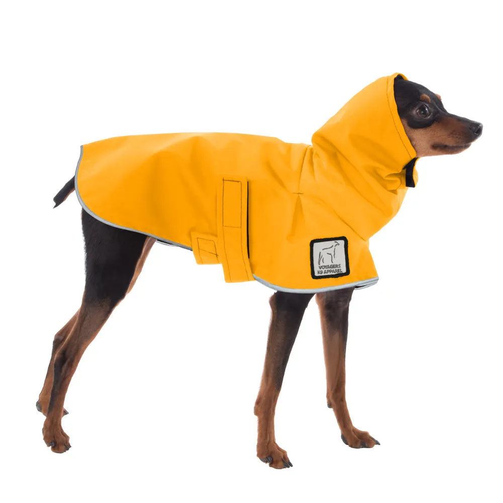 ReCoat ♻️ Miniature Pinscher Raincoat with Harness Opening