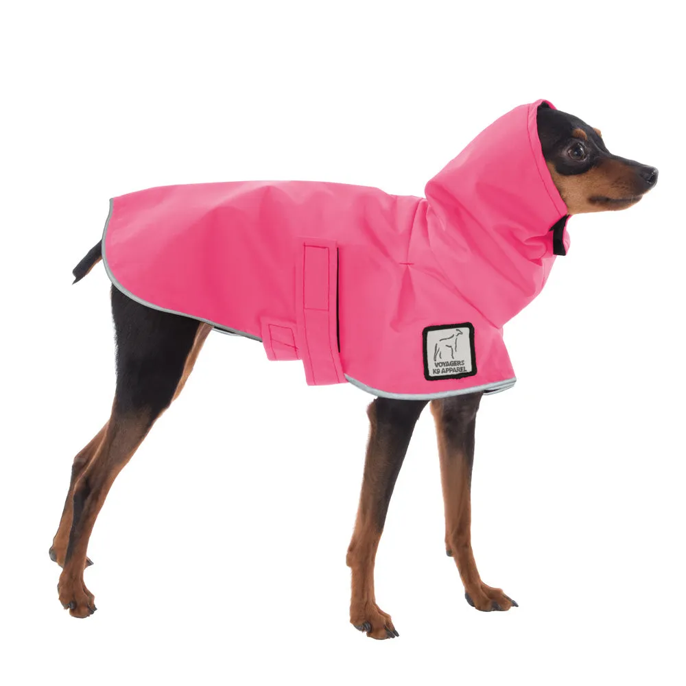 ReCoat ♻️ Miniature Pinscher Raincoat with Harness Opening