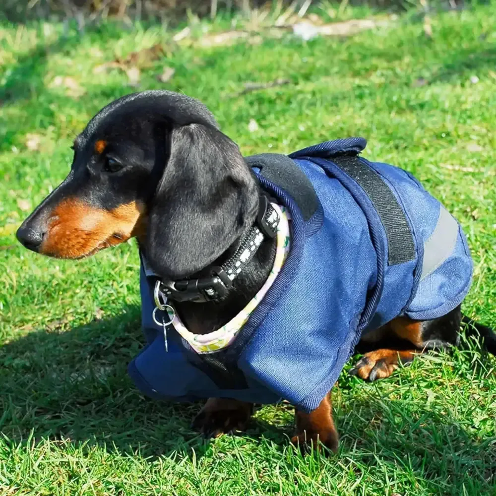 Rhinegold Highland Waterproof Dog Coats