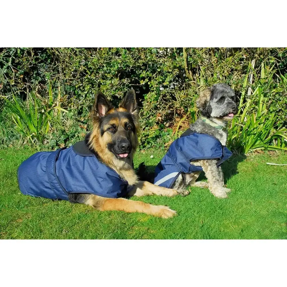 Rhinegold Highland Waterproof Dog Coats