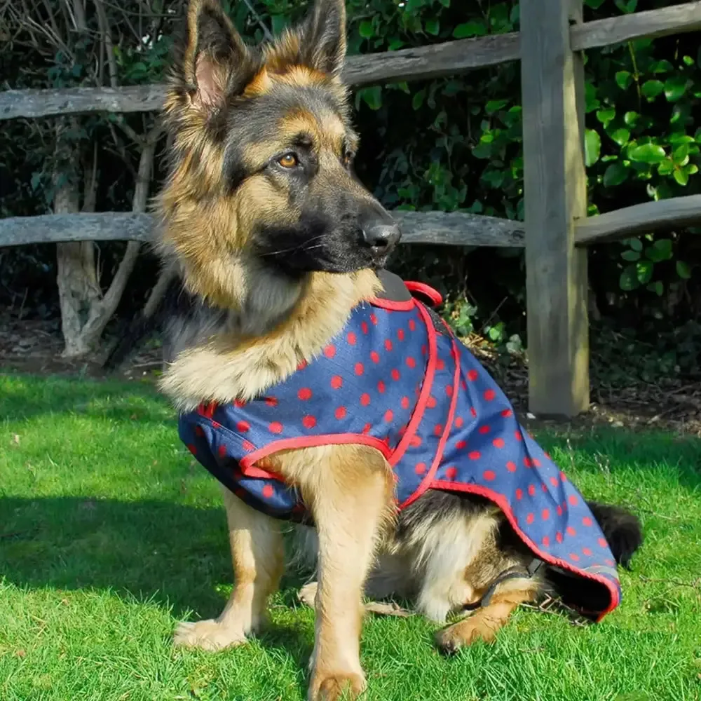 Rhinegold Highland Waterproof Dog Coats