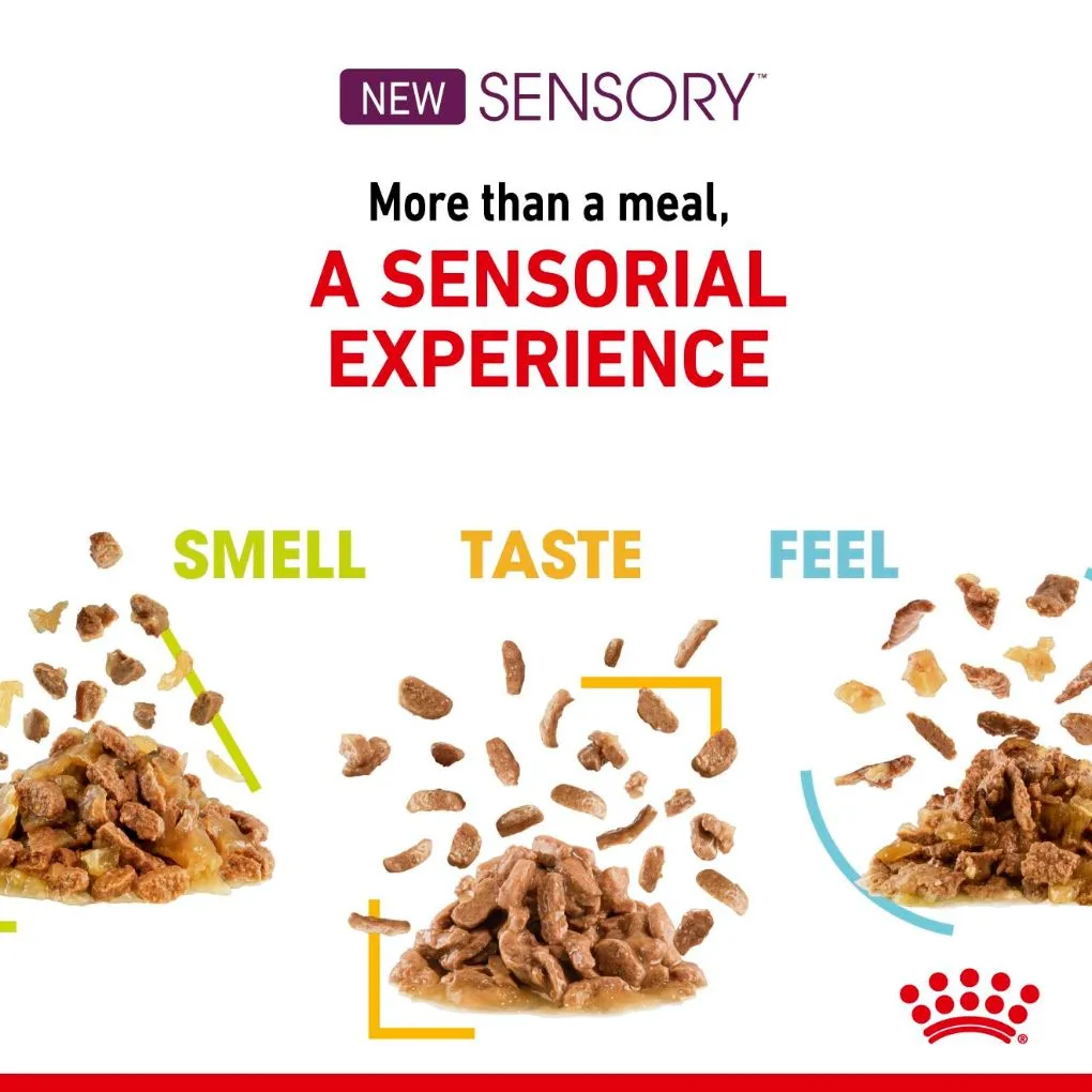 Royal Canin Sensory Feel Gravy 85g x12