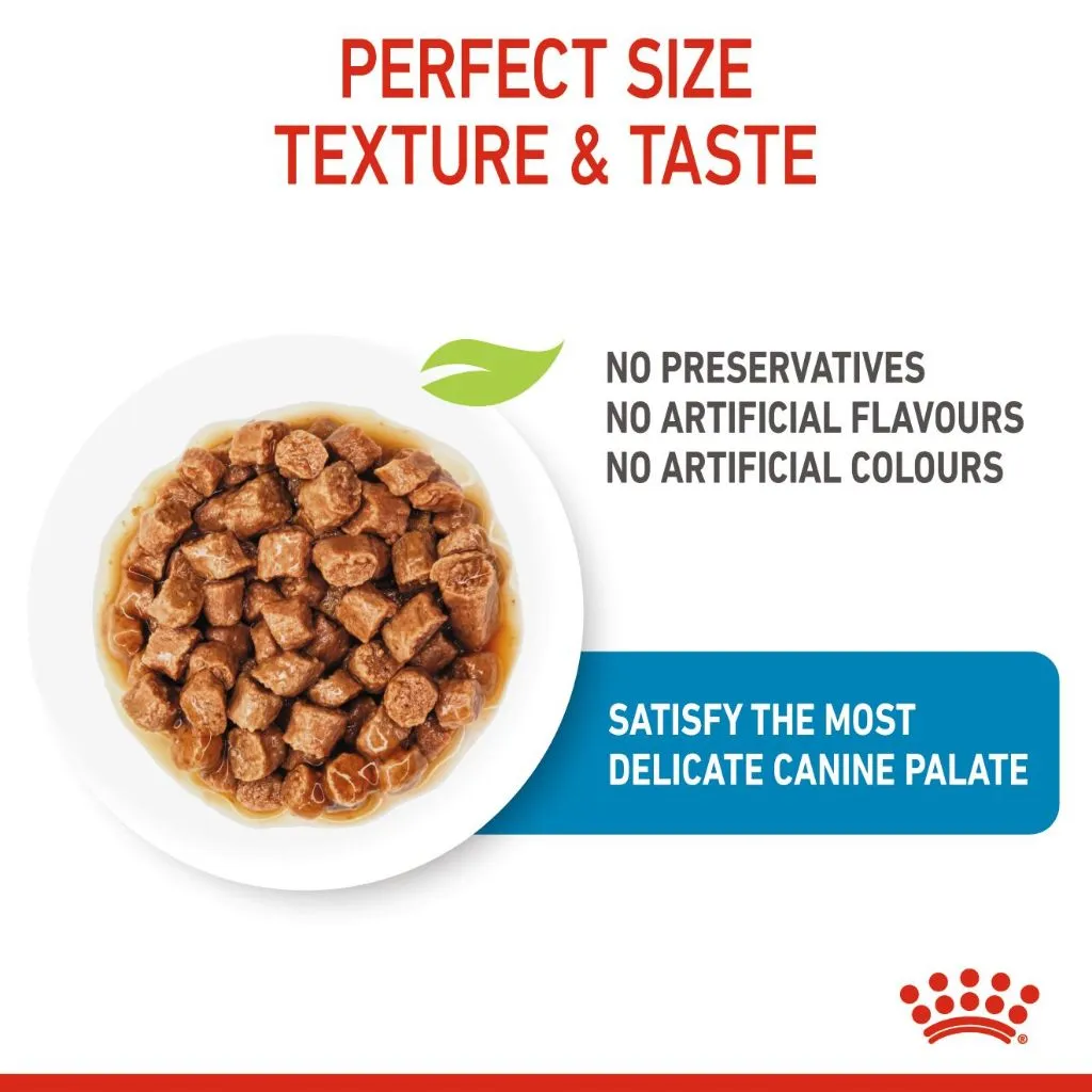 Royal Canin X-Small Puppy 85g Pouch Wet Dog Food - Size Health Nutrition