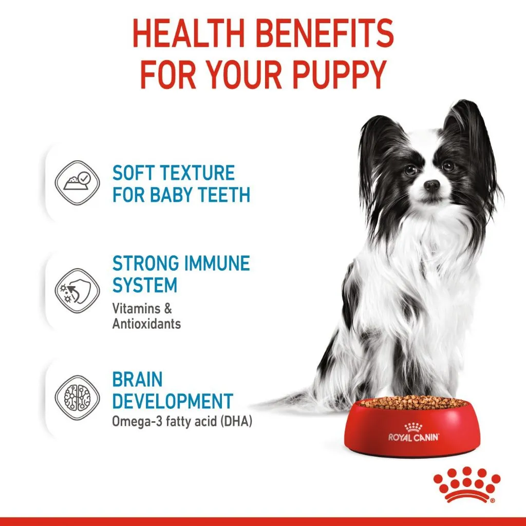 Royal Canin X-Small Puppy 85g Pouch Wet Dog Food - Size Health Nutrition