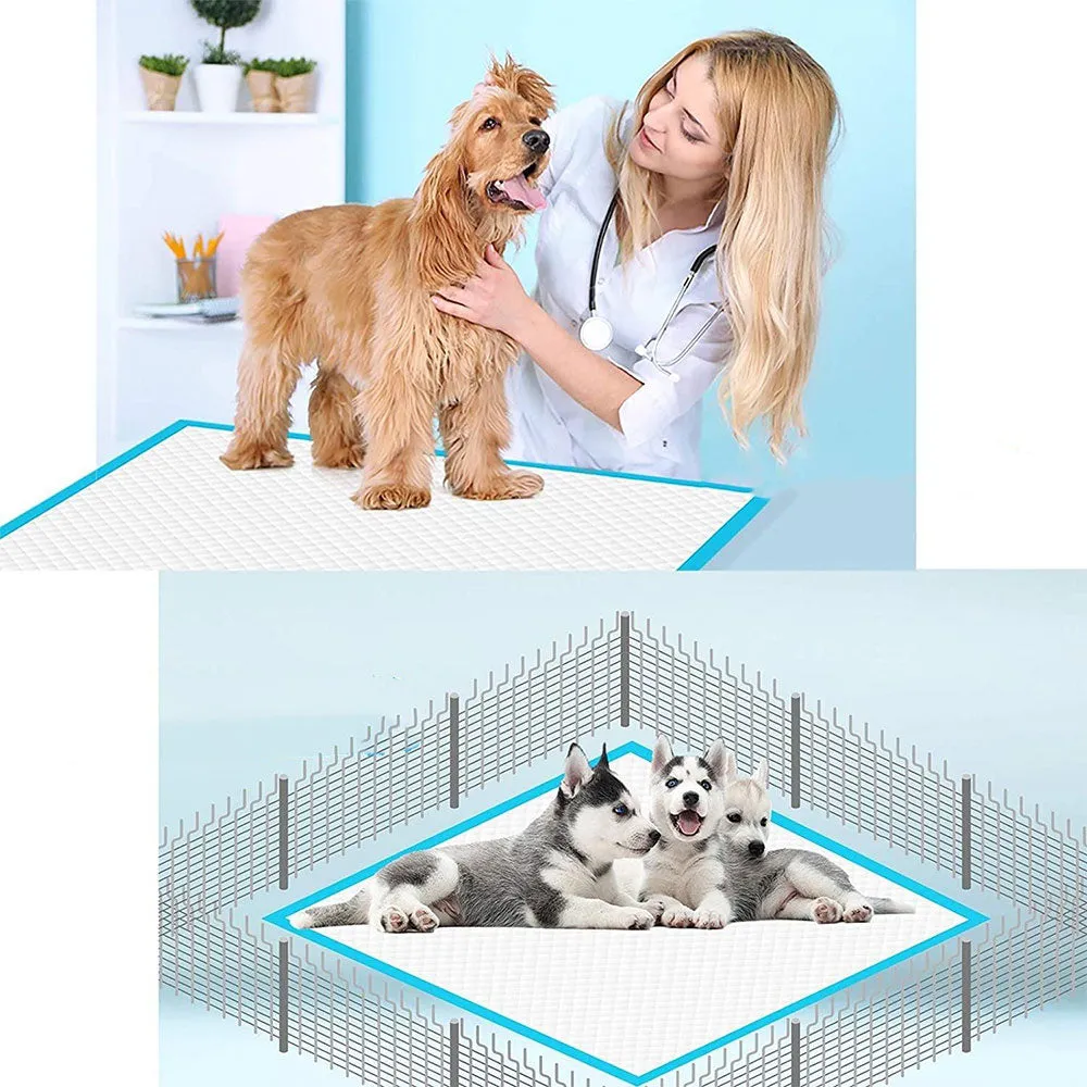 (Set of 40) 60x60cm Absorbent Puppy Hygiene Mat Pet Mat - Blue