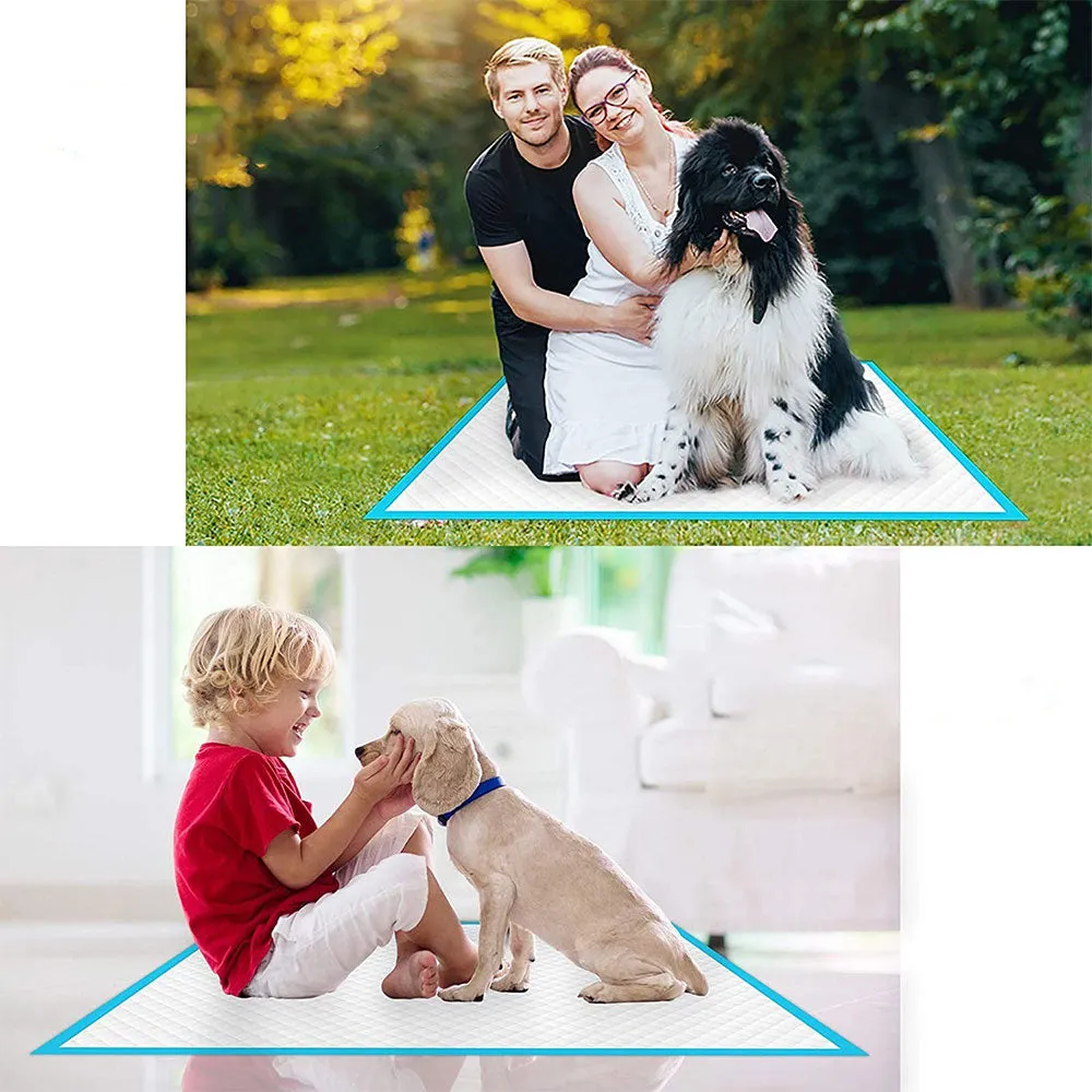(Set of 40) 60x60cm Absorbent Puppy Hygiene Mat Pet Mat - Blue