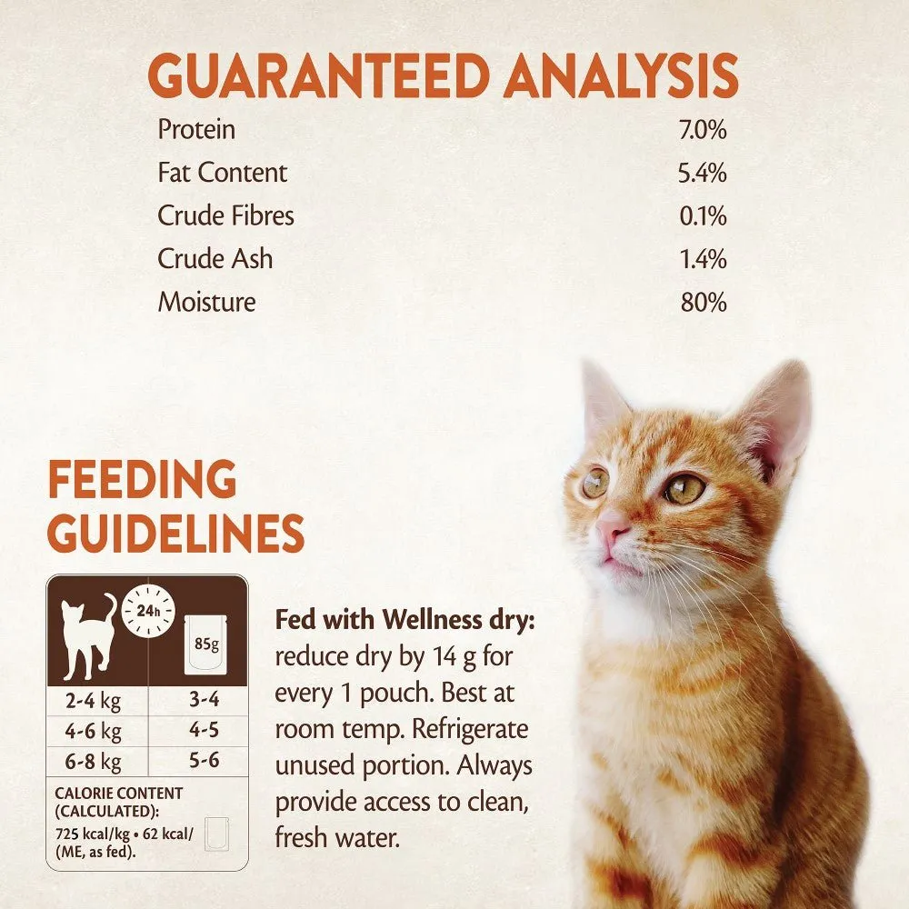 WELLNESS CORE Cat Tender Cuts with Salmon and Tuna in Savoury Gravy 85g
