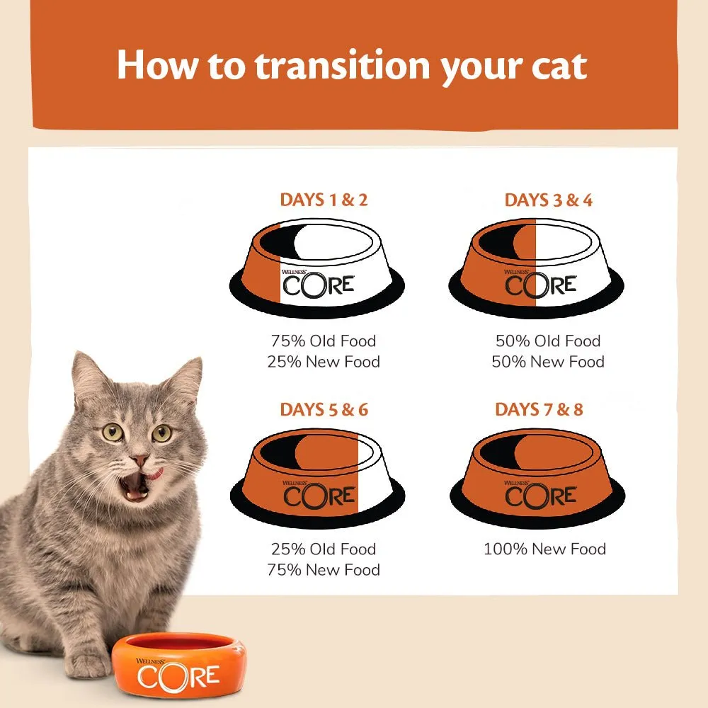 WELLNESS CORE Cat Tender Cuts with Salmon and Tuna in Savoury Gravy 85g