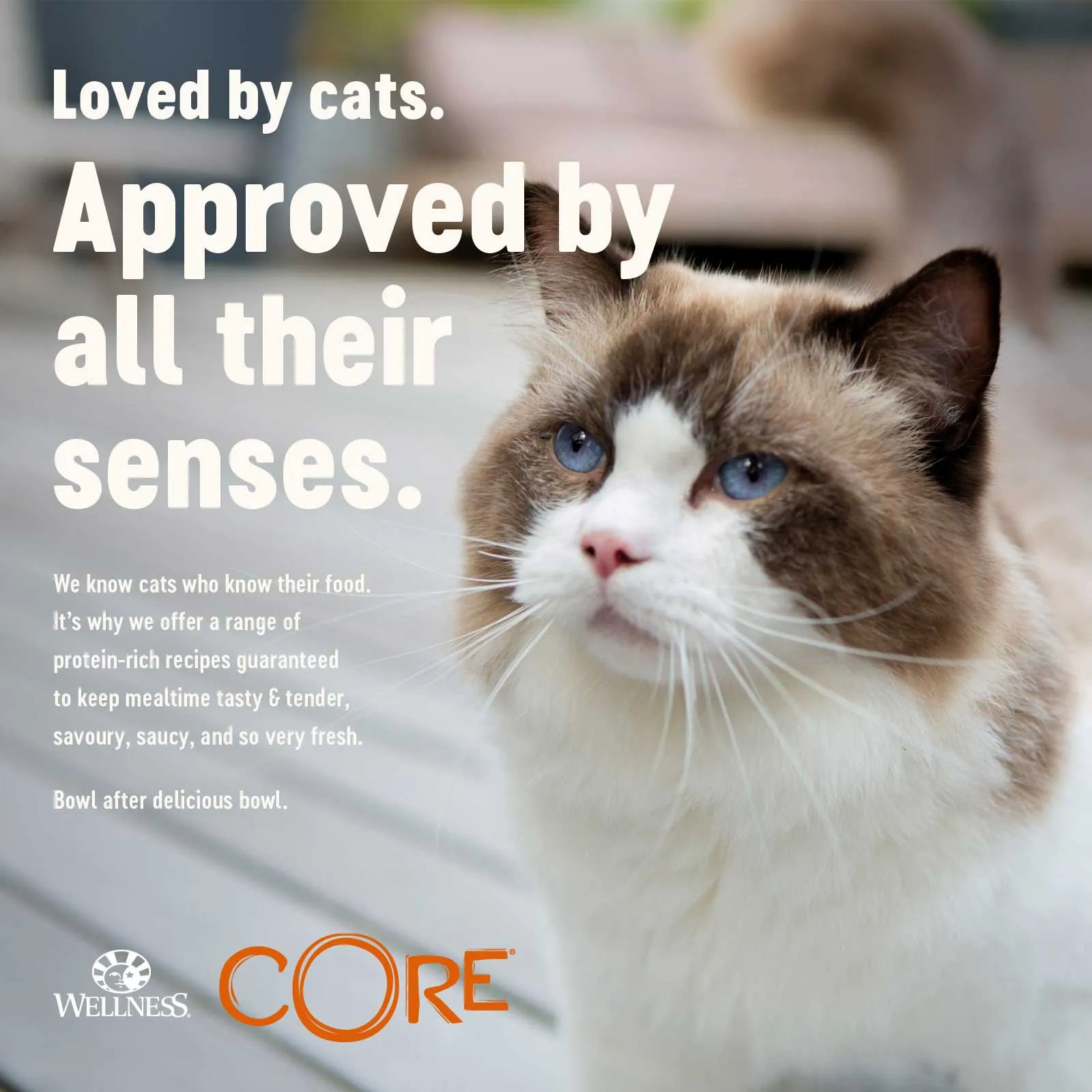 WELLNESS CORE Cat Tender Cuts with Salmon and Tuna in Savoury Gravy 85g