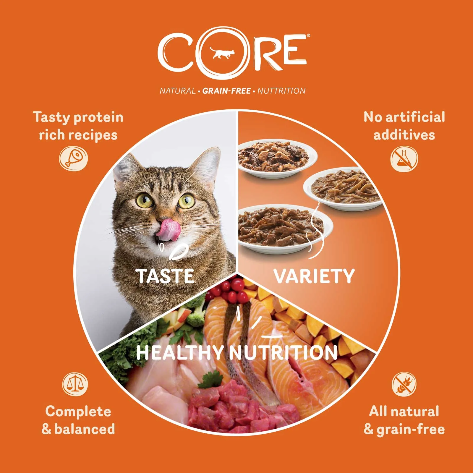 WELLNESS CORE Cat Tender Cuts with Salmon and Tuna in Savoury Gravy 85g