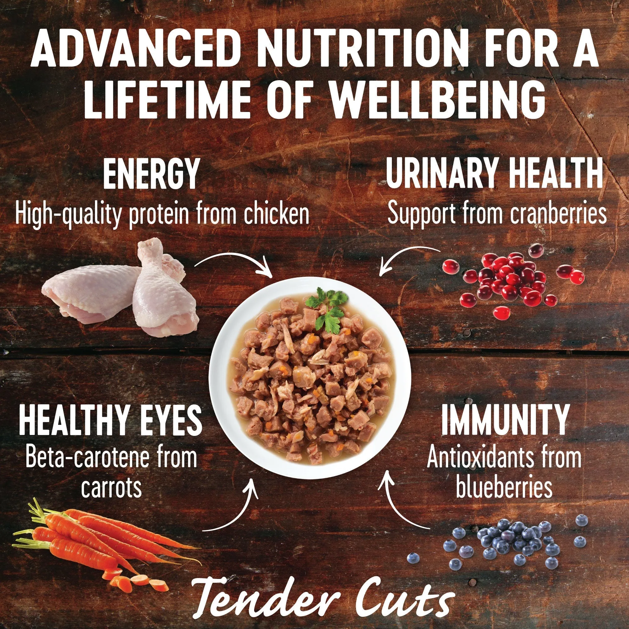 Wellness CORE Tender Cuts Chicken Selection Multipack Wet Cat Food 85g x 6^^^