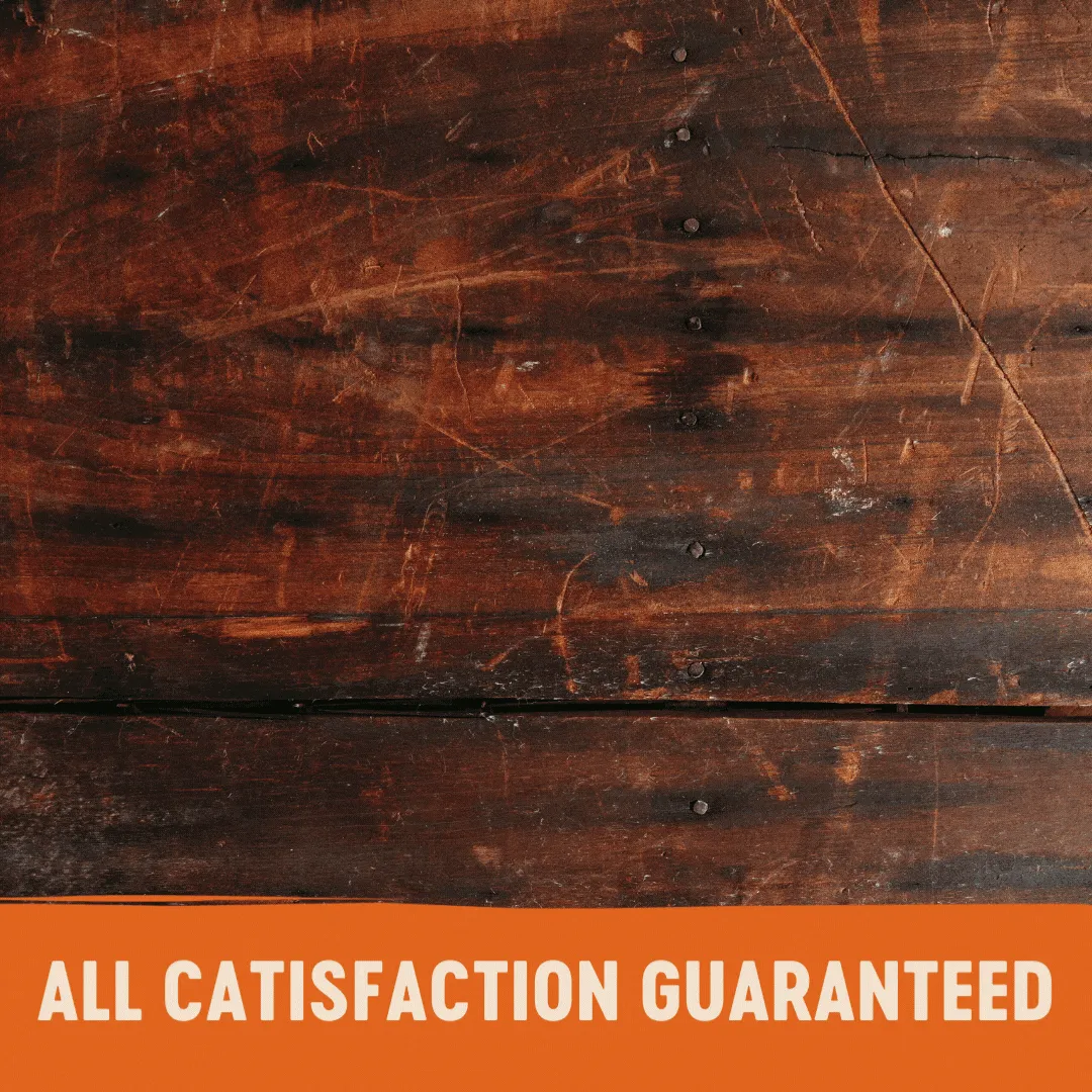 Wellness CORE Tender Cuts Chicken Selection Multipack Wet Cat Food 85g x 6^^^
