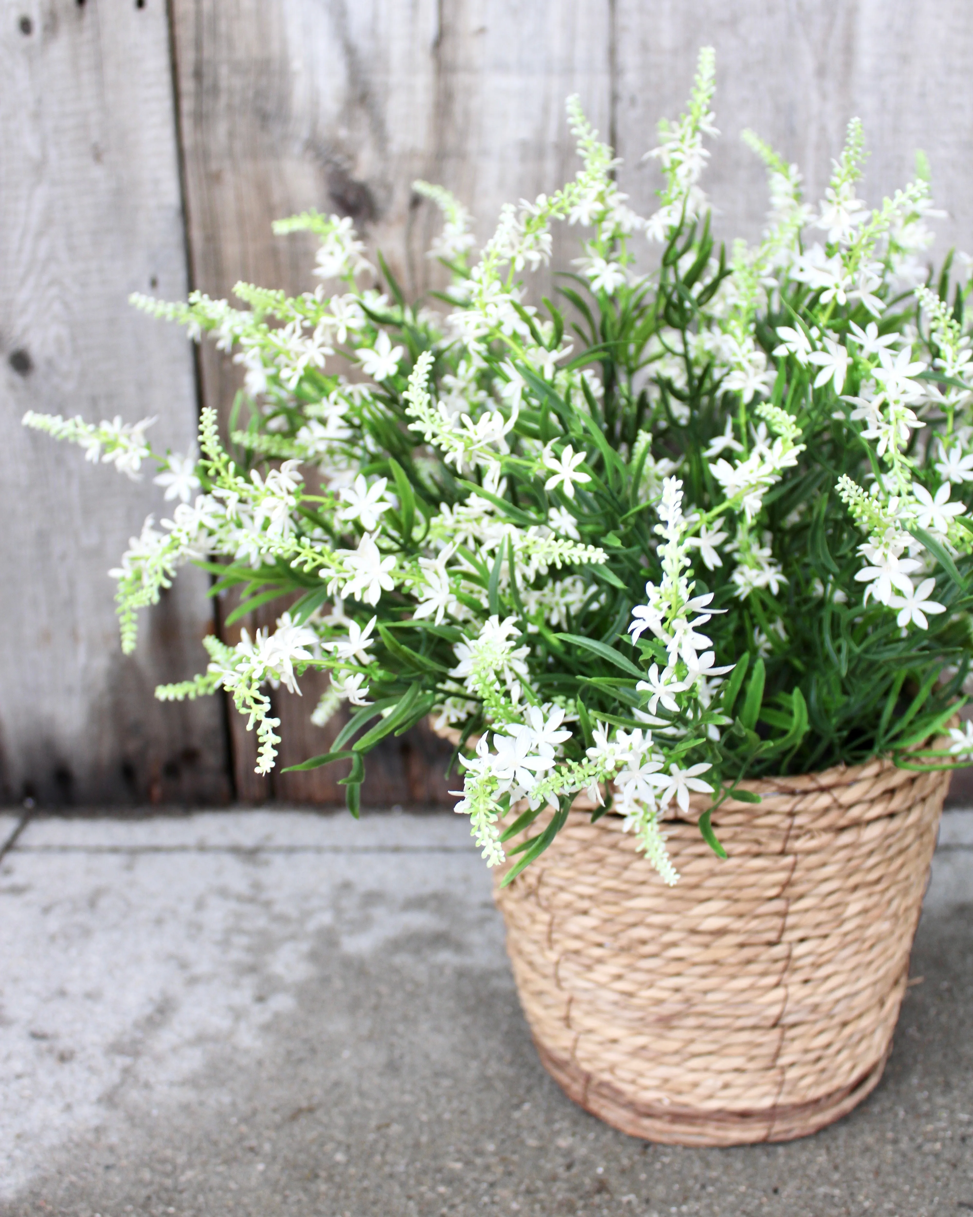 White Sweet Veronica “Drop-In” Insert