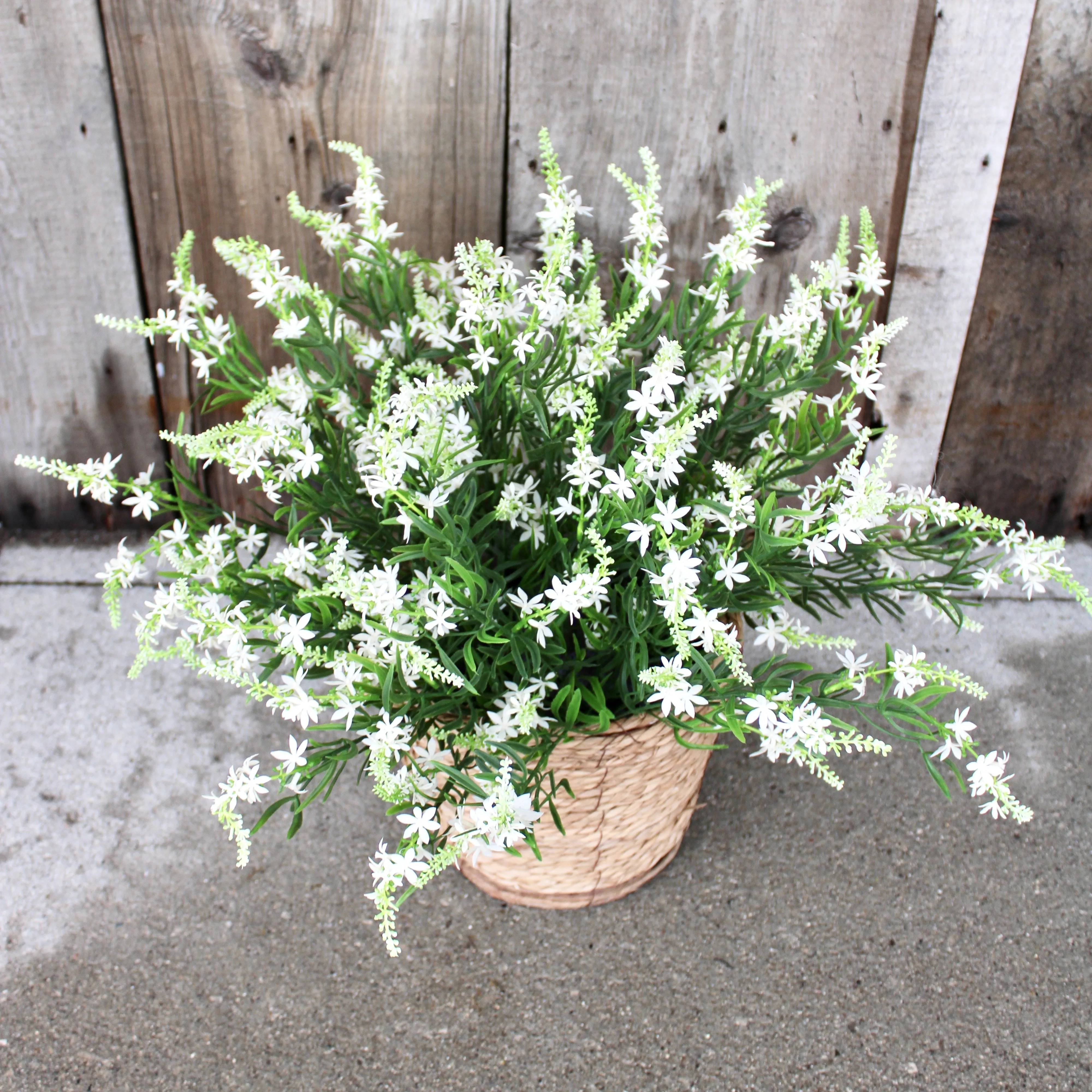 White Sweet Veronica “Drop-In” Insert
