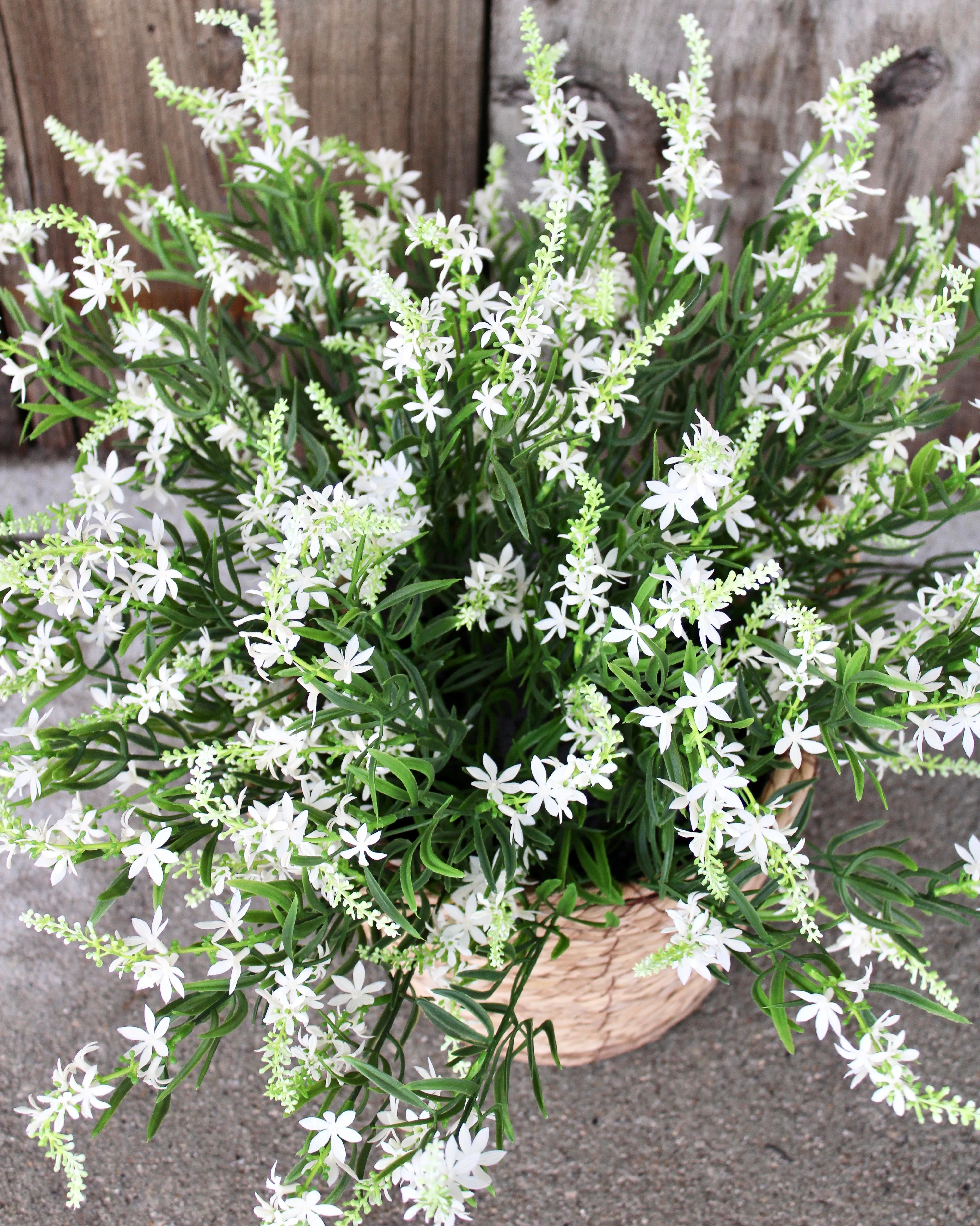 White Sweet Veronica “Drop-In” Insert