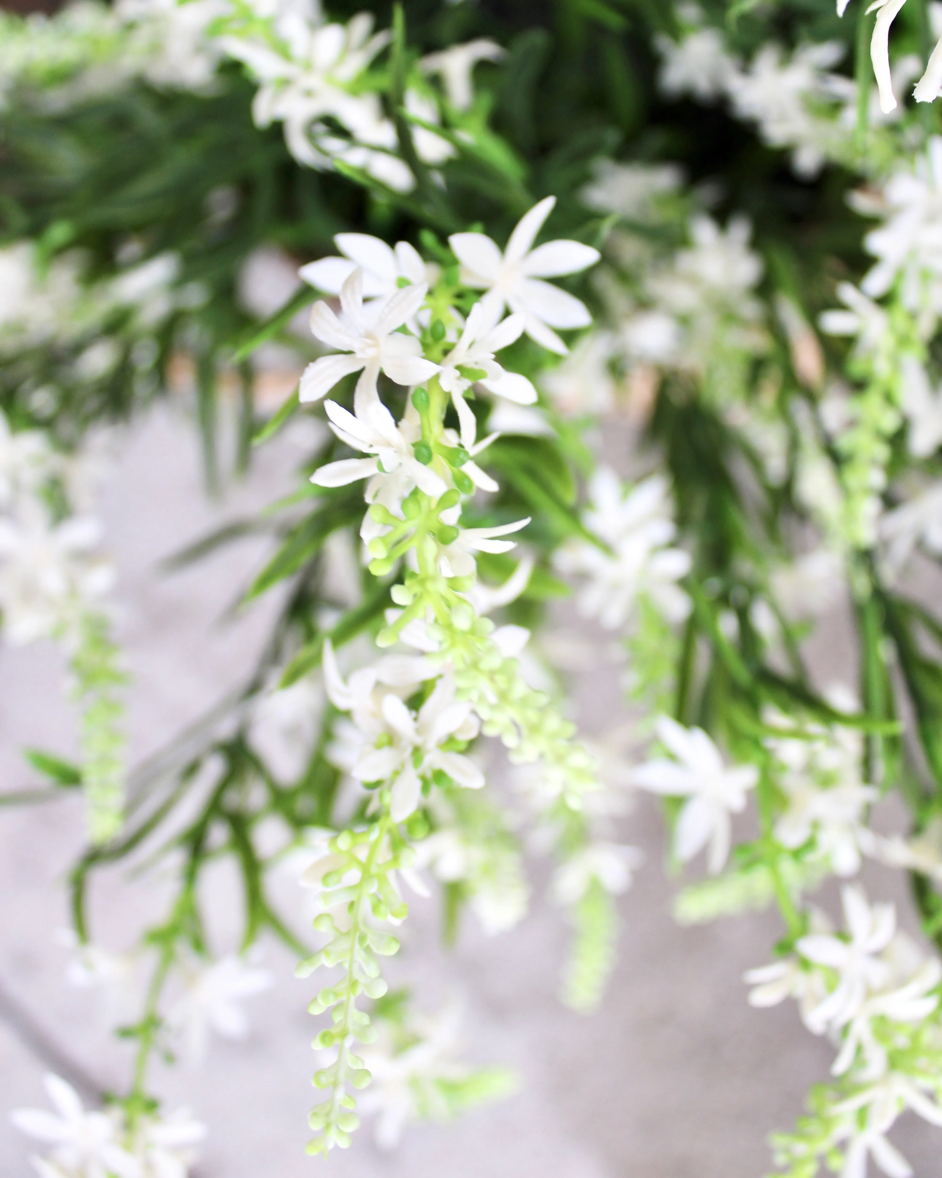 White Sweet Veronica “Drop-In” Insert