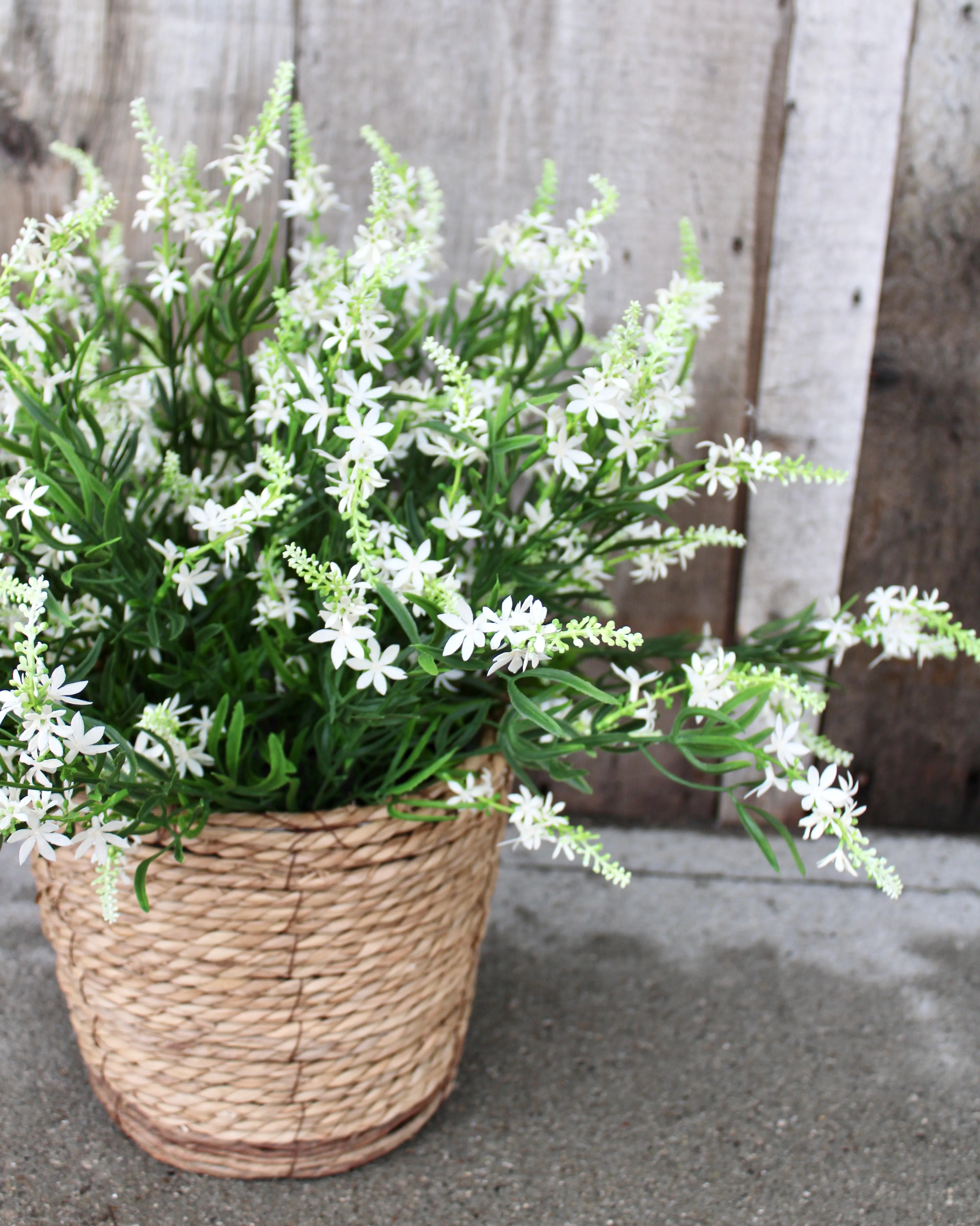 White Sweet Veronica “Drop-In” Insert