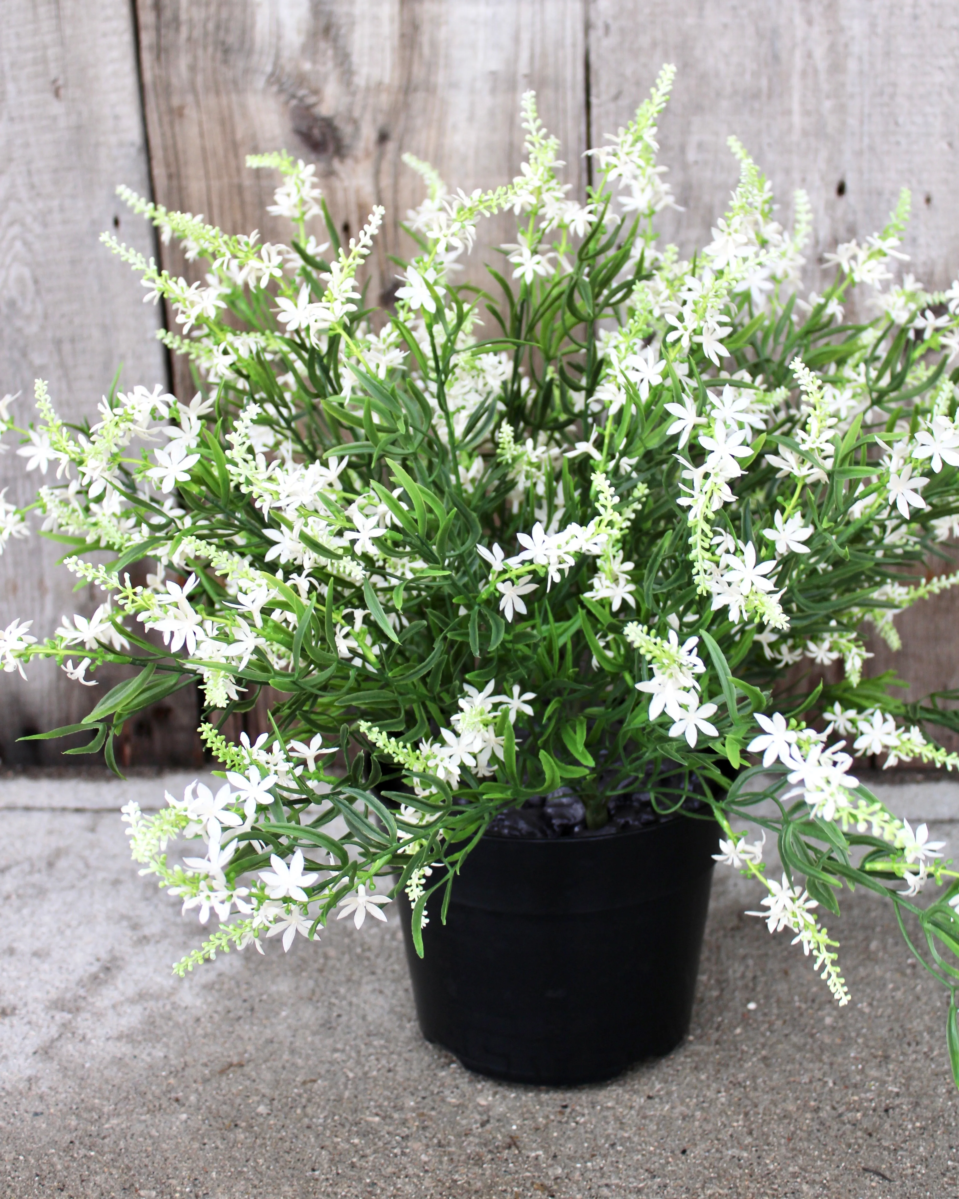 White Sweet Veronica “Drop-In” Insert